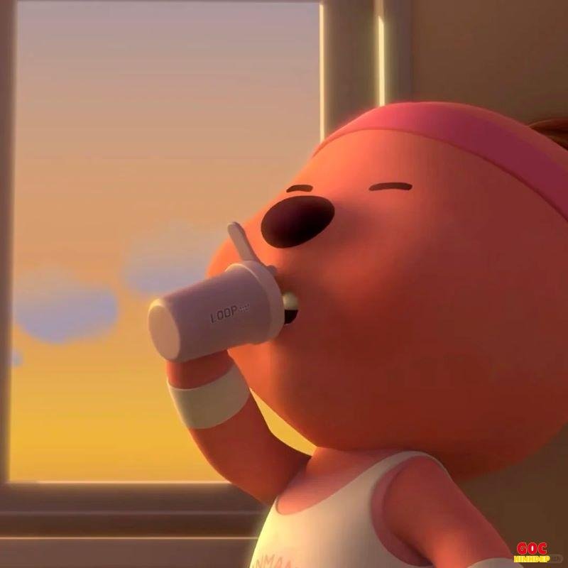 Album ảnh loopy mới