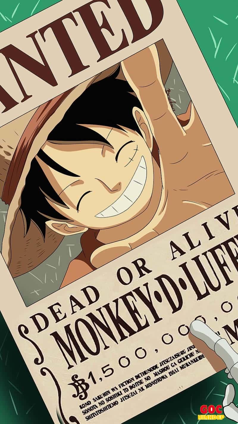 Album ảnh luffy mới nhất