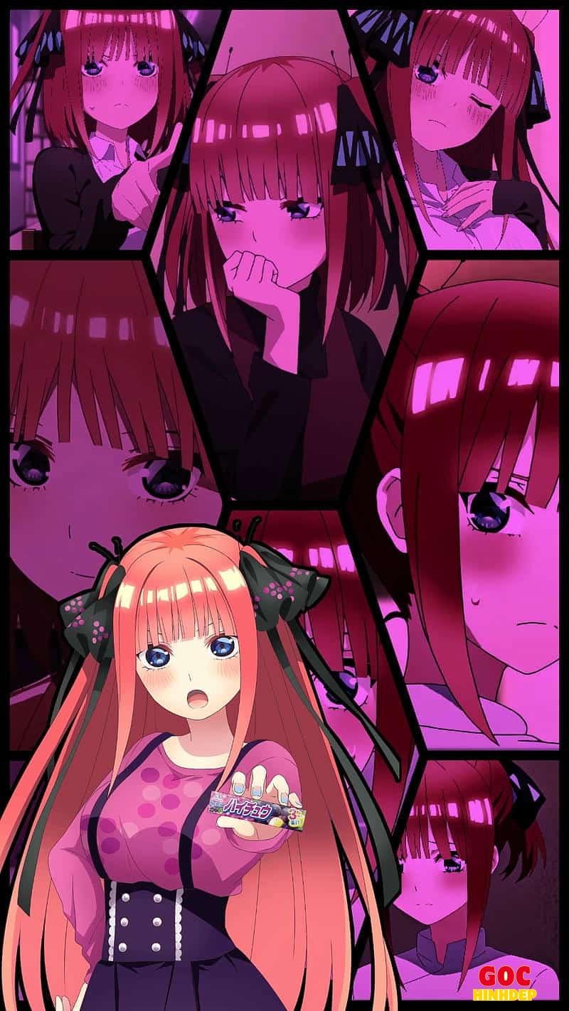 Album ảnh nino mới