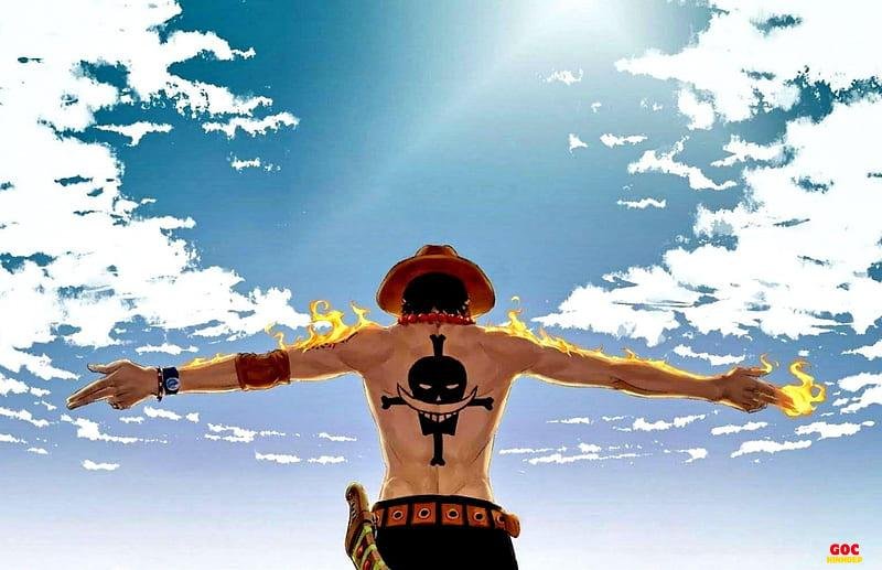 Bộ ảnh ace thu hút