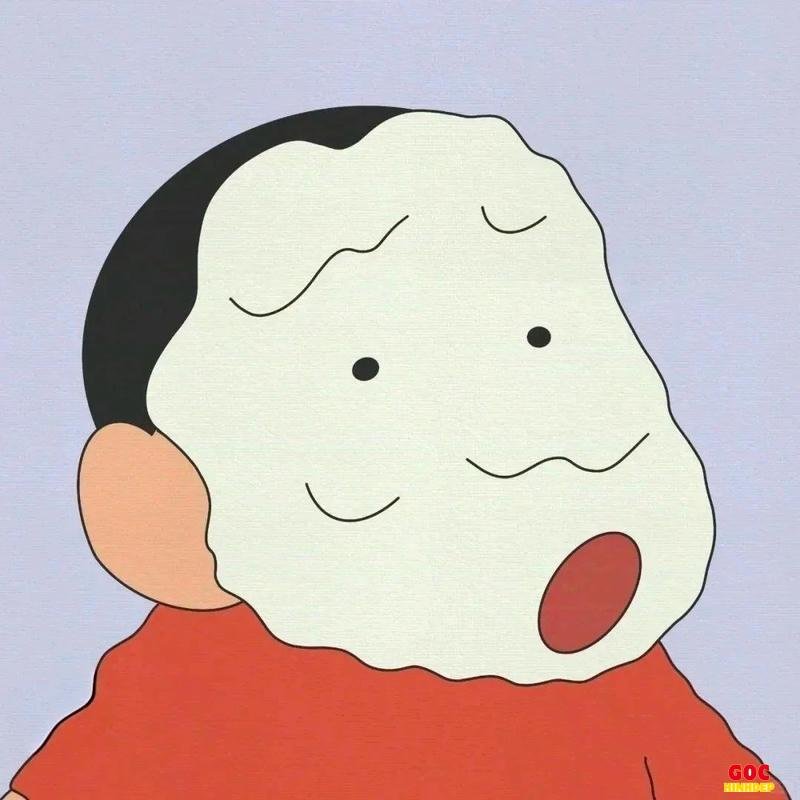 Khám phá ảnh shin mới nhất