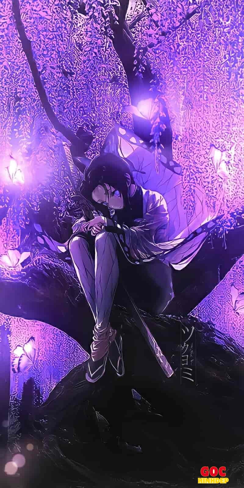 Khám phá ảnh shinobu đẹp