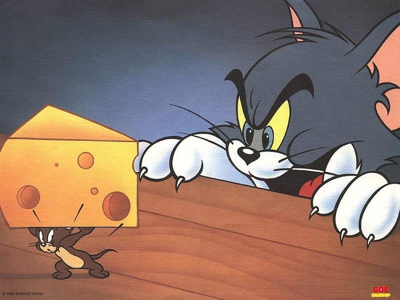 Khám phá ảnh tom và jerry đẹp