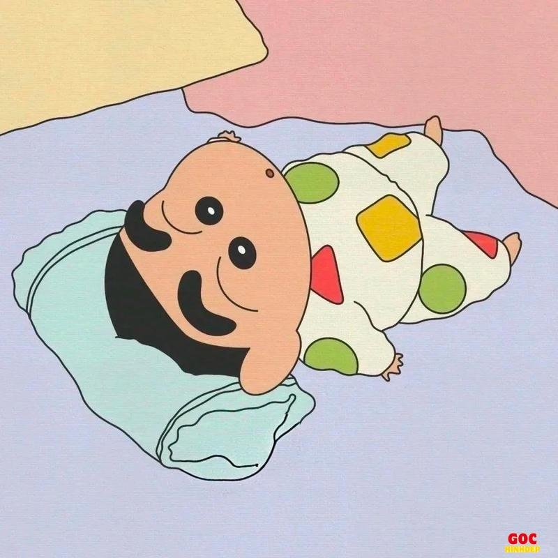 Khám phá kho ảnh shin mới nhất