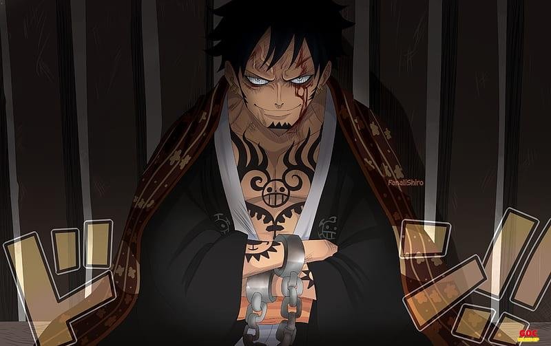 Loạt ảnh law độc quyền