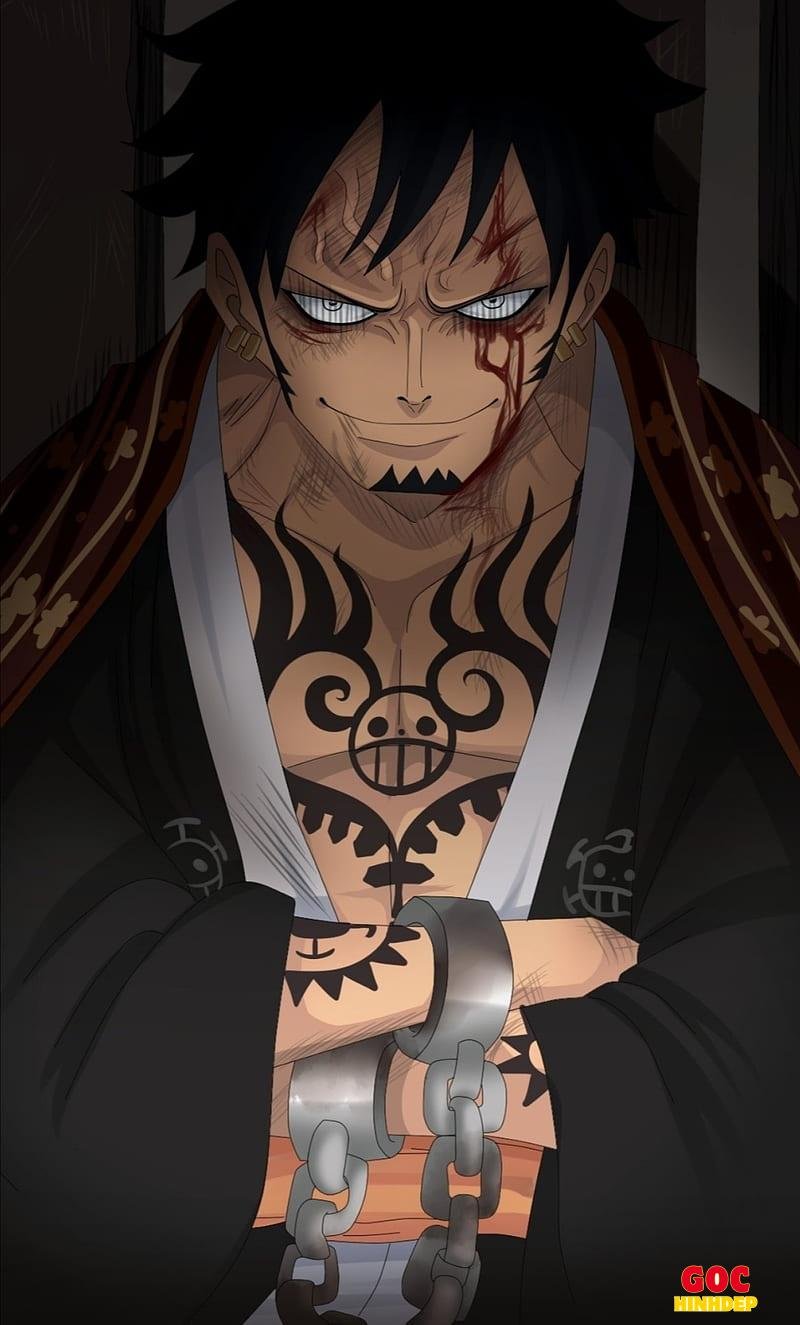 Ngắm ảnh law mới nhất