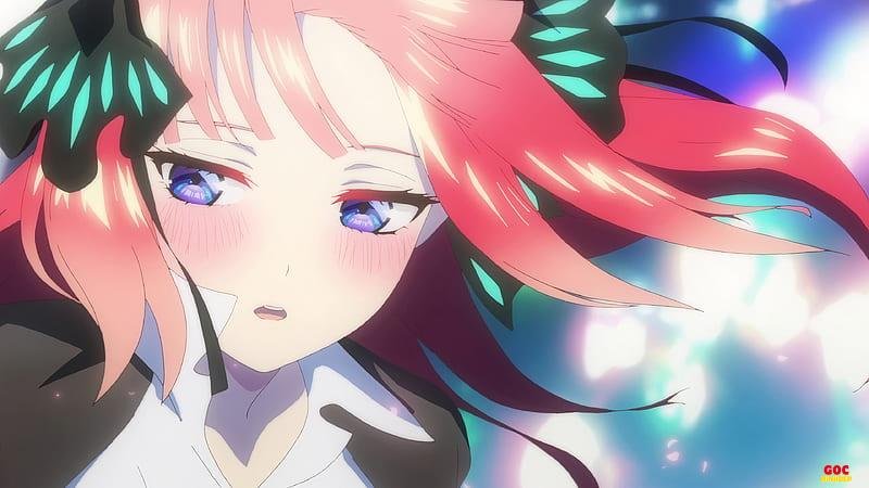 Ngắm bộ ảnh nino chất lượng cao