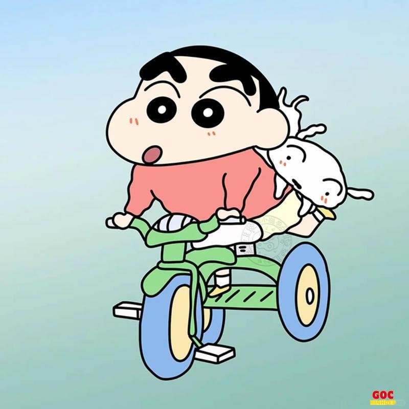 Tải về ảnh shin chất lượng cao