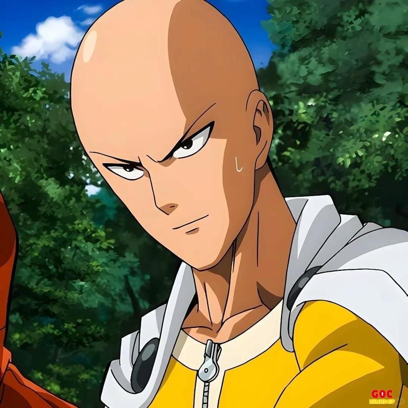 Tổng hợp ảnh saitama chất lượng