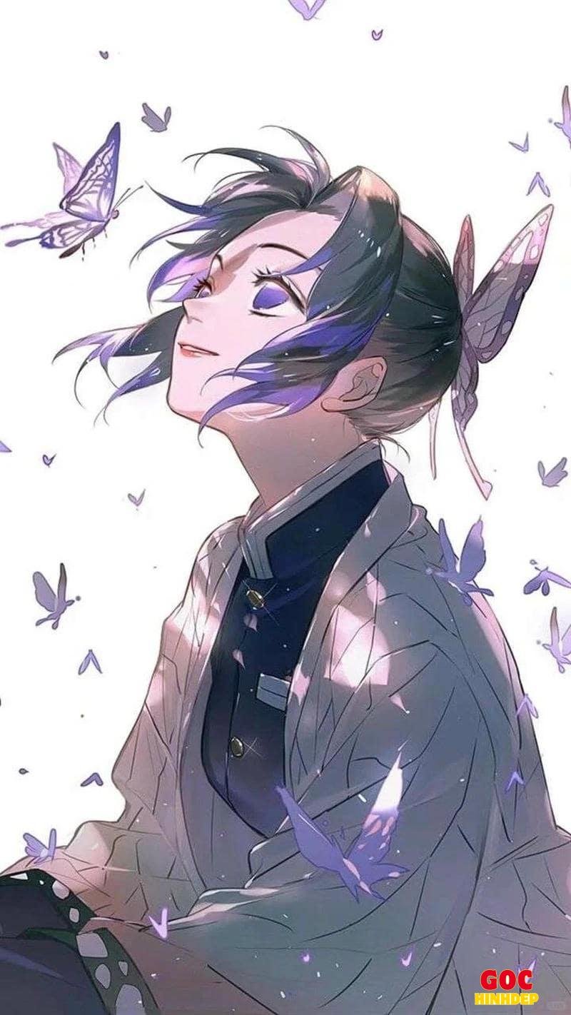 Tuyển tập bộ ảnh shinobu miễn phí