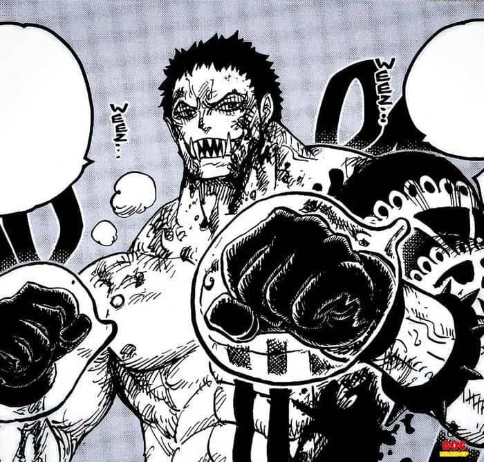 ảnh thẻ katakuri cá tính