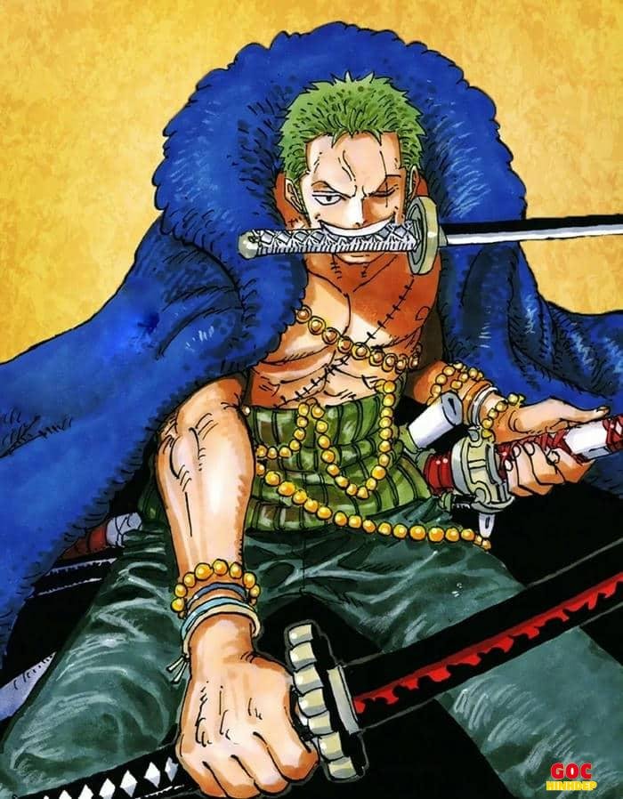 bản vẽ zoro tinh xảo