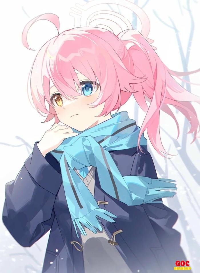 chân dung hoshino tinh tế