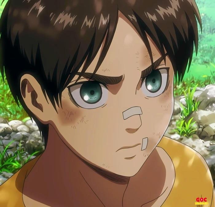 eren và đôi mắt xanh