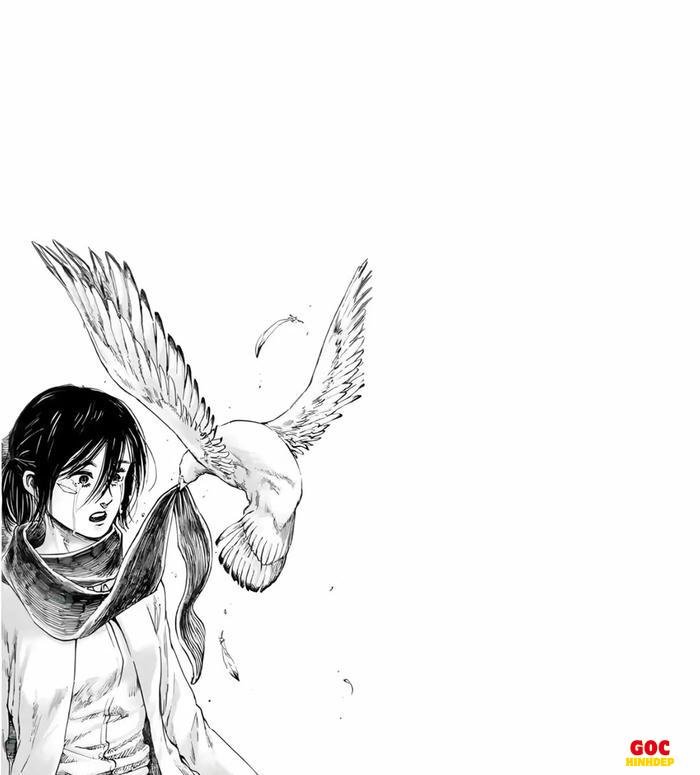 eren yeager nền trắng hd