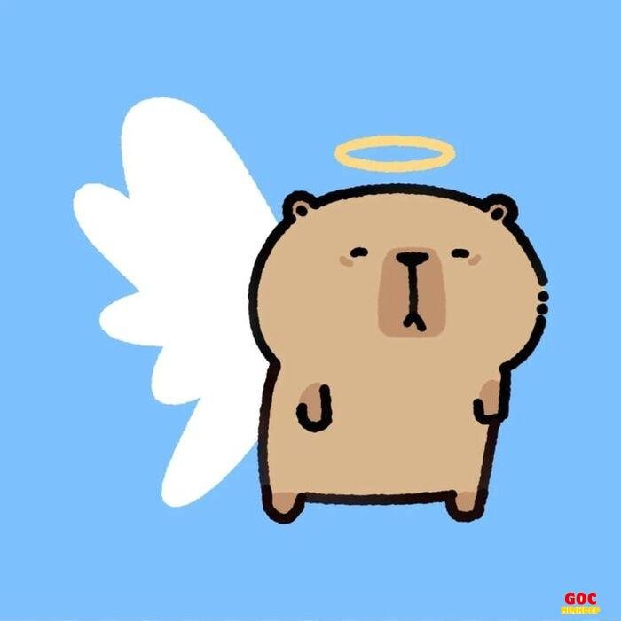 hình capybara chibi dễ thương cute
