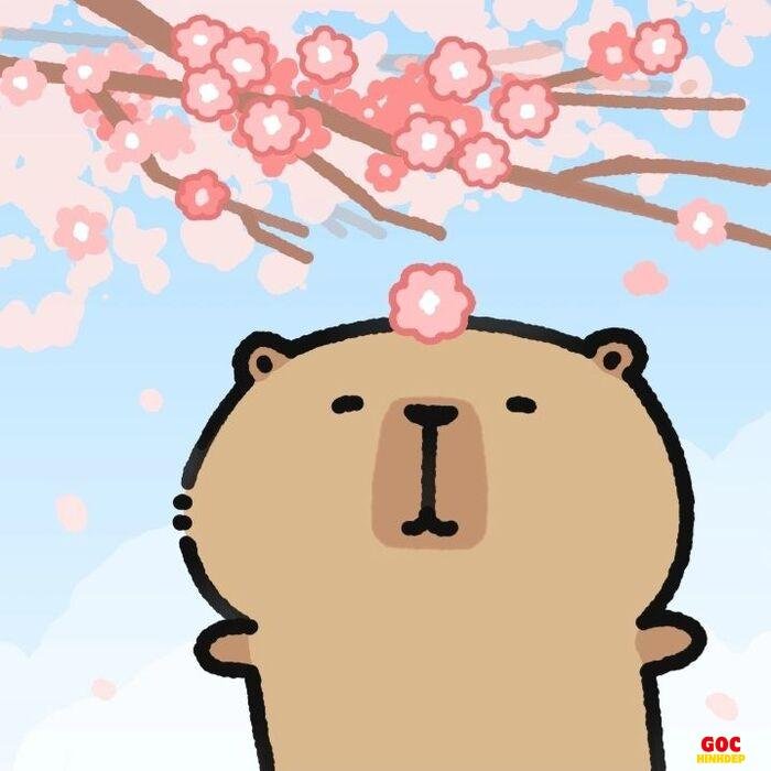 hình capybara chibi đơn giản
