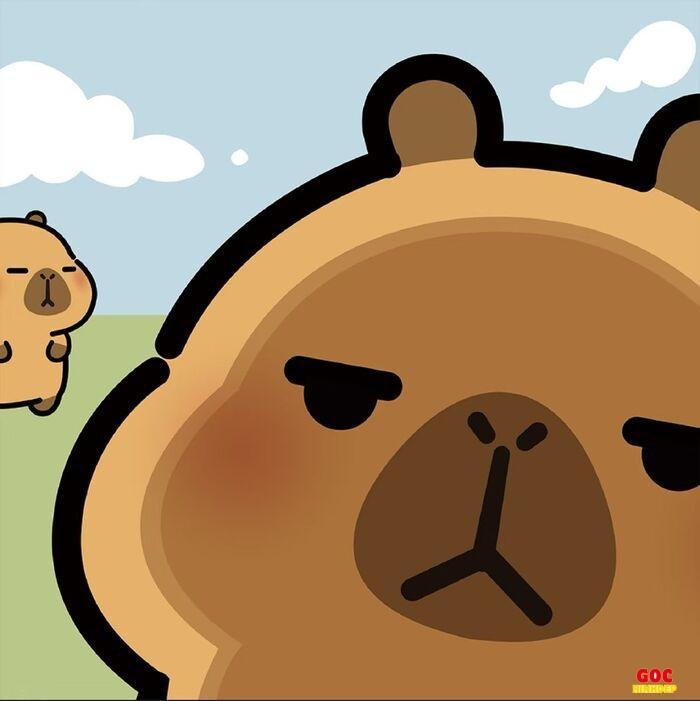 hình capybara chibi hoạt hình