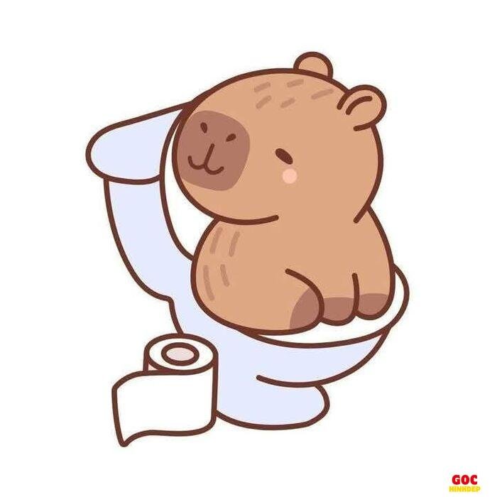 hình capybara chibi nhìn là thích