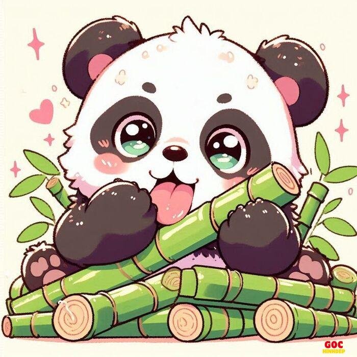 hình gấu trúc chibi đơn giản dễ vẽ