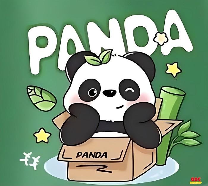 hình gấu trúc chibi đơn giản đẹp