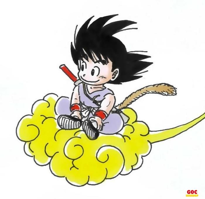 họa tiết võ phục goku