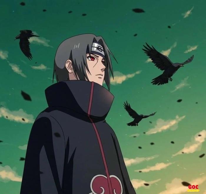 itachi phong cách hiện đại