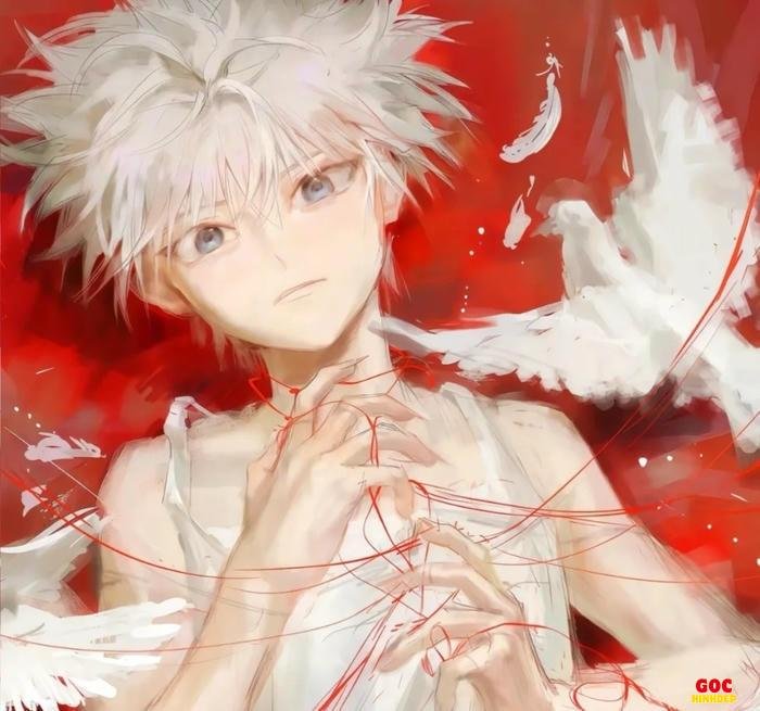 killua lôi cuốn cực kỳ